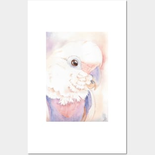 Goffin Tanimbar corella cockatoo watercolor portrait parrot name Buckley Posters and Art